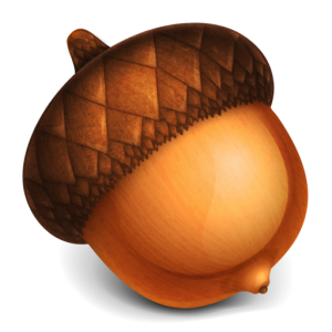 Acorn PNG image, free, acorns-739